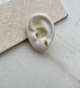 Coraline Conch Stud Earrings